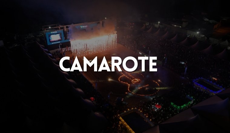 Modelo 2 Site Ingressos (6)